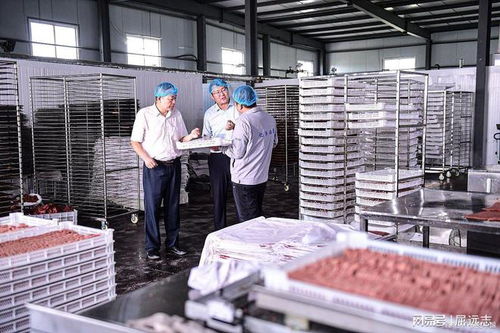 后廚里的黑暗 記者臥底鴨腸鵝腸工廠，揭開(kāi)食品安全觸目驚心的真相